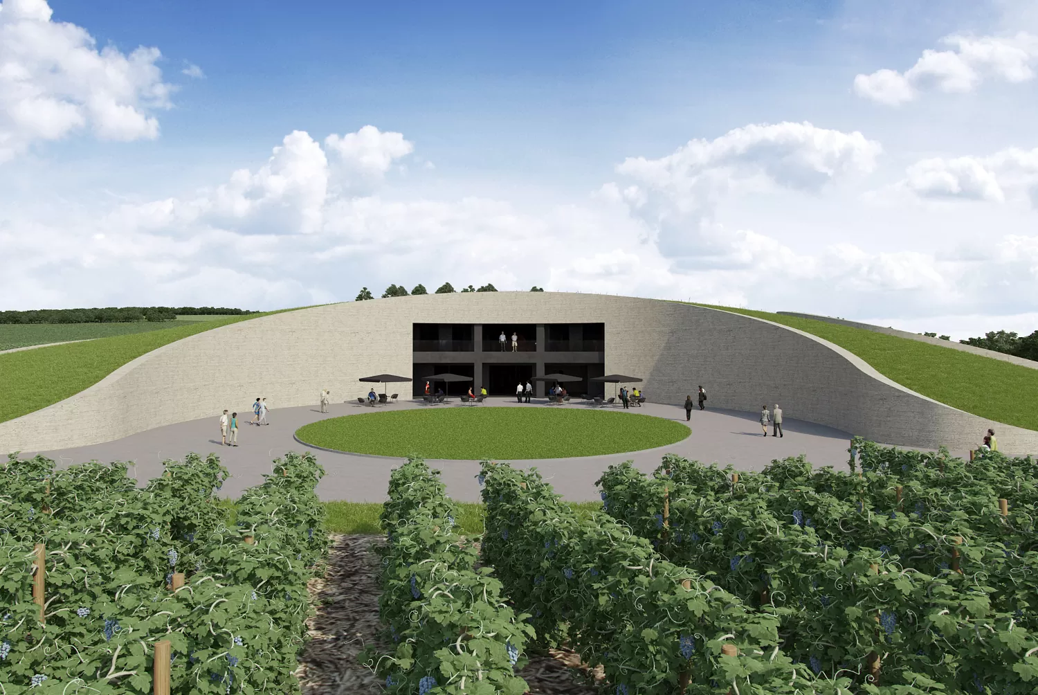 Vinarija Radovanci 04 - Dva Arhitekta Zidarić