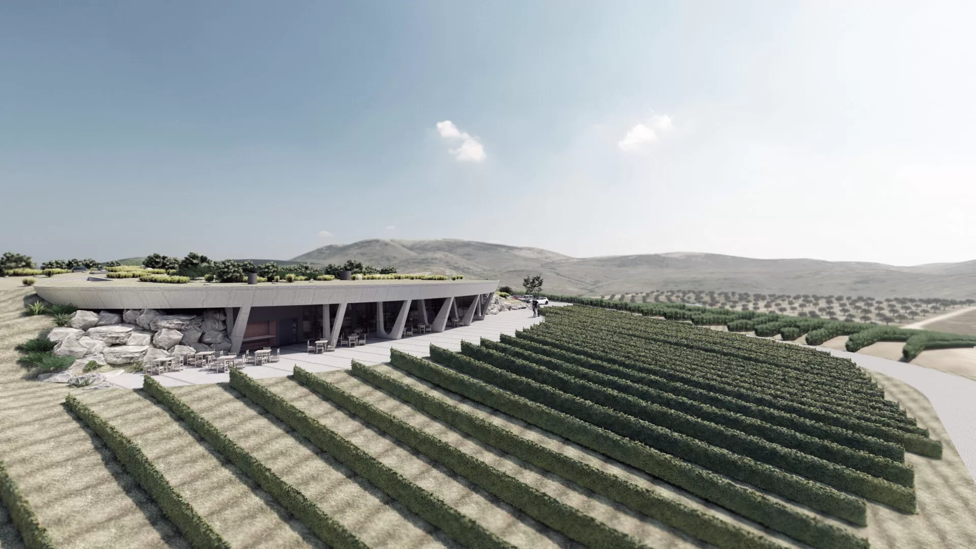 Vinarija Jadrtovac II 02 - Dva Arhitekta Zidarić
