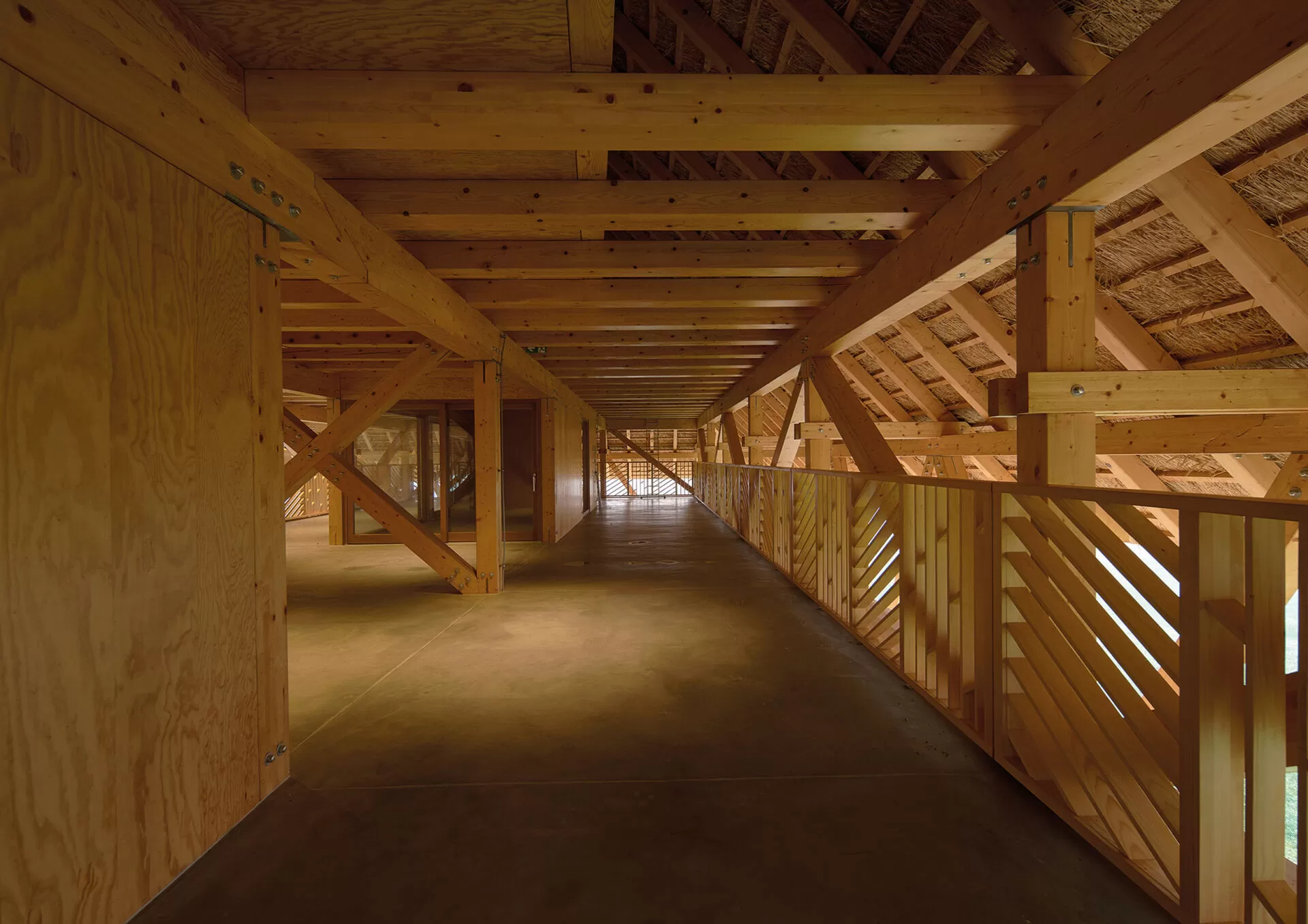 Vinarija Tomac 07 - Dva Arhitekta Zidarić